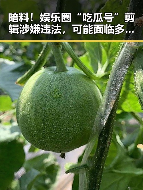 暗料！娱乐圈“吃瓜号”剪辑涉嫌违法，可能面临多重处罚