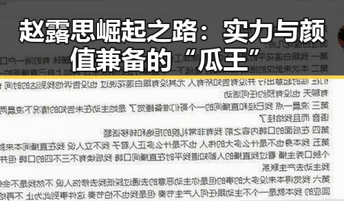 赵露思崛起之路：实力与颜值兼备的“瓜王”