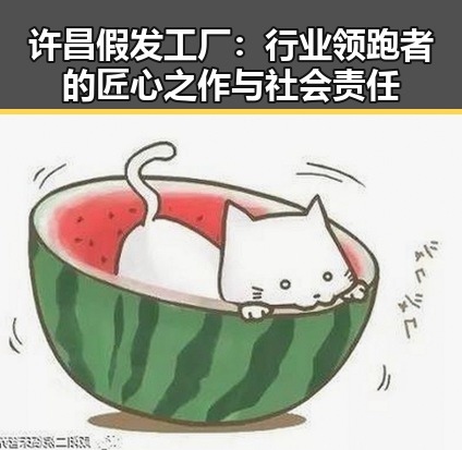 许昌假发工厂：行业领跑者的匠心之作与社会责任
